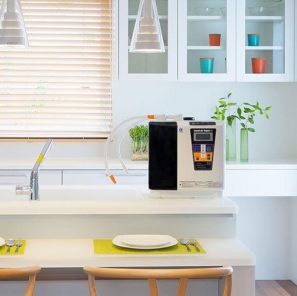 Leveluk Super 501 in a kitchen, wide view