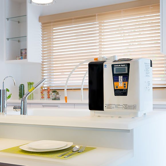 Leveluk Super 501 beside a kitchen sink